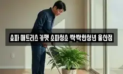 쇼파 매트리스 카펫 소파청소 싹싹한청년 울산점