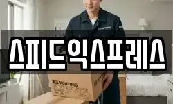 스피드익스프레스