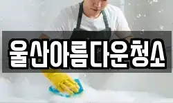 울산아름다운청소