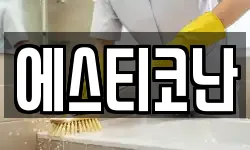 에스티코난