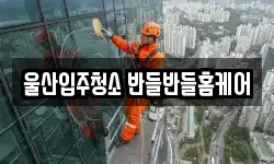 울산입주청소 반들반들홈케어