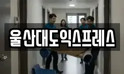 울산광역시 중구 이사,용달이사,포장이사,원룸이사,보관이사