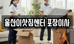 울산이삿짐센터 포장이사