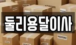 둘리용달이사