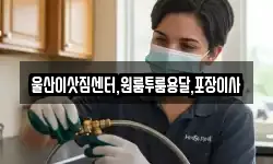 울산광역시 중구 장현동 이사,용달이사,포장이사,원룸이사,보관이사