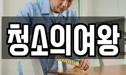 청소의여왕