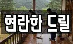 현란한 드릴