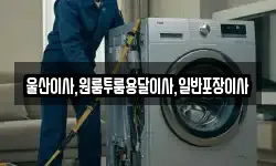 울산이사,원룸투룸용달이사,일반포장이사