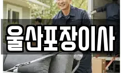 울산포장이사