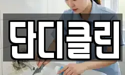 단디클린