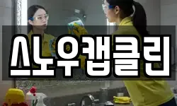 스노우캡클린
