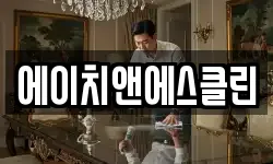 에이치앤에스클린