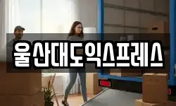 울산대도익스프레스