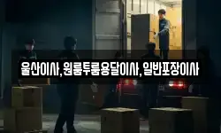 울산이사,원룸투룸용달이사,일반포장이사