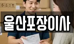 울산포장이사