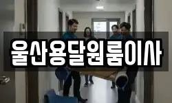 울산용달원룸이사