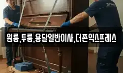 울산 남구 선암동 이사,용달이사,포장이사,원룸이사,보관이사