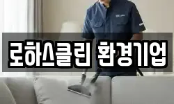 로하스클린 환경기업