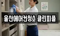 울산 남구 신정동 청소,입주청소,사무실청소,에어컨청소