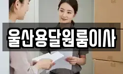 울산용달원룸이사