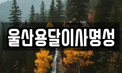 울산용달이사명성