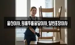 울산이사,원룸투룸용달이사,일반포장이사