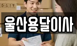울산용달이사