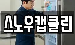 스노우캡클린