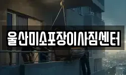 울산 남구 이사,용달이사,포장이사,원룸이사,보관이사