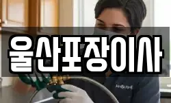 울산포장이사