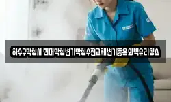 하수구막힘세면대막힘변기막힘수전교체변기뚫음외벽유리청소