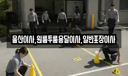 울산이사,원룸투룸용달이사,일반포장이사