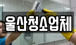 울산청소업체