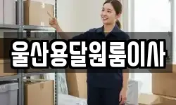 울산용달원룸이사
