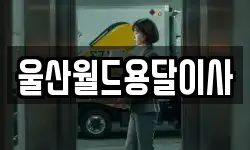 울산 동구 방어동 이사,용달이사,포장이사,원룸이사,보관이사