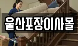 울산포장이사몰