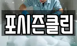 포시즌클린