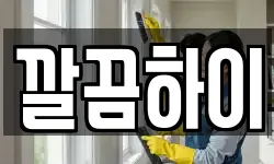 깔끔하이