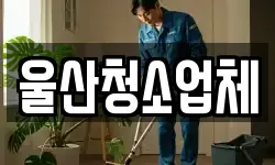 울산청소업체
