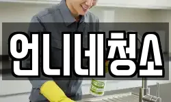 언니네청소
