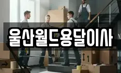 울산월드용달이사