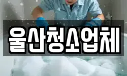 울산청소업체
