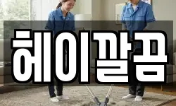 헤이깔끔
