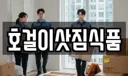 호걸이삿짐식품