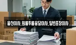 울산이사,원룸투룸용달이사,일반포장이사