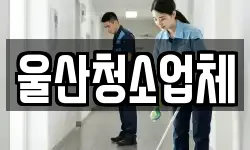 울산청소업체