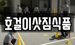호걸이삿짐식품