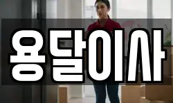용달이사