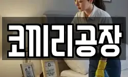 코끼리공장