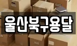 울산북구용달